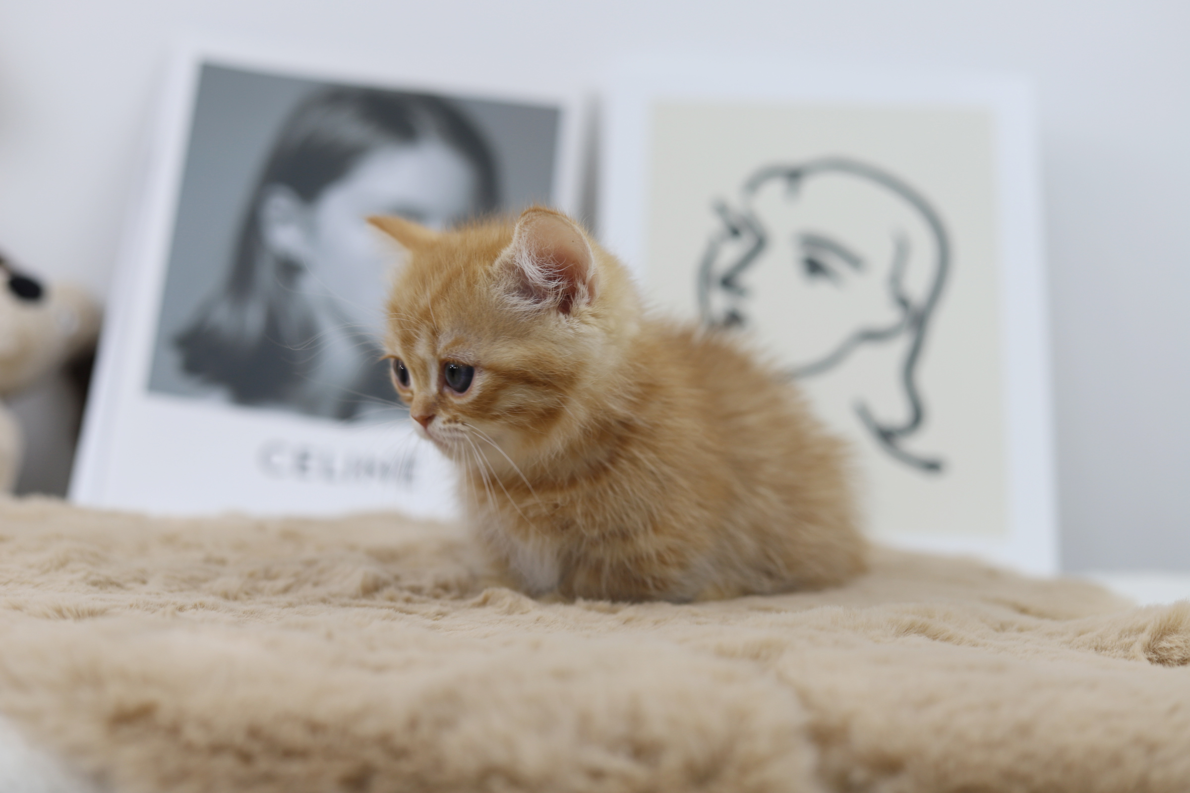 먼치킨(20만원부터)